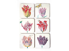Load image into Gallery viewer, Coasters, Set Of 6, Tulips, Marrel - Strelitzia&#39;s Florist &amp; Irish Craft Shop