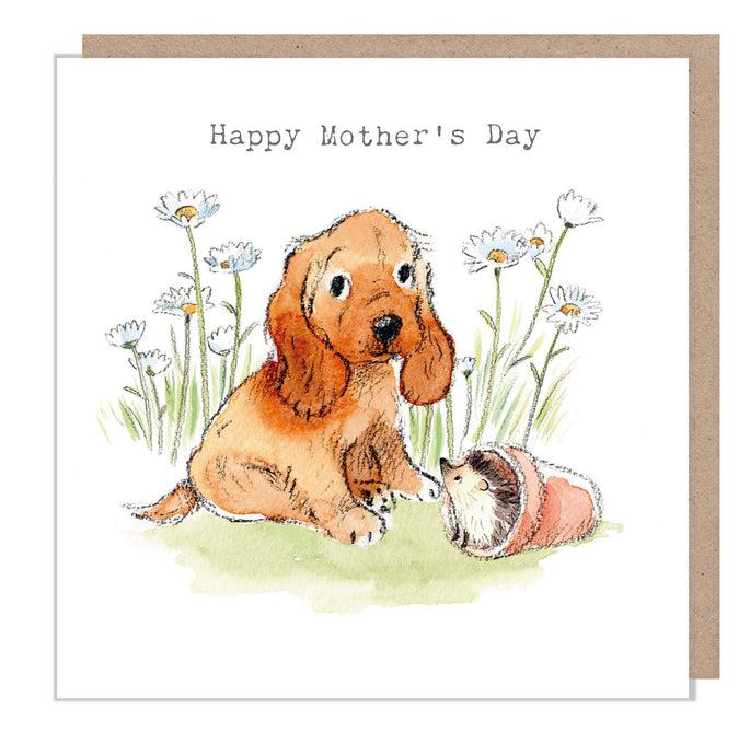 Paper Shed Design Ltd - Mothers Day card - Cocker Spaniel with hedgehog - ABMD06 - Strelitzia's Florist & Irish Craft Shop