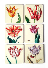 Load image into Gallery viewer, Coasters, Set of 6 coasters,Tulips, Ksenia - Strelitzia&#39;s Florist &amp; Irish Craft Shop