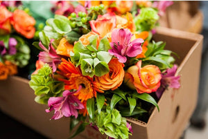 Seasonal Fresh Flower Subscription Bouquets - Strelitzia's Floristry & Irish Craft Shop