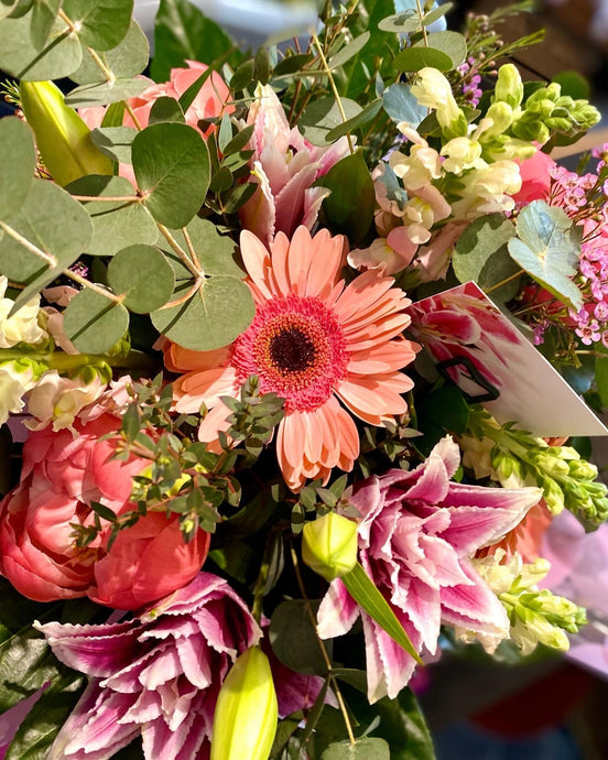 Salmon Pre-Arranged Vase Effect Fresh Flower Bouquet - Strelitzia's Flower & Irish Craft Shop