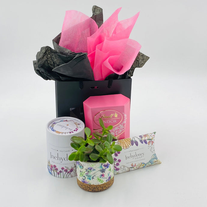 Sweet Sensations (Inchydoney) - Gift Box - Strelitzia's Floristry & Irish Craft Shop