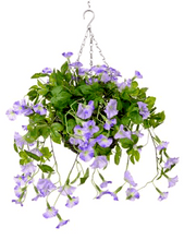 Load image into Gallery viewer, Exterior trailing Petunia Hanging Baskets - Strelitzia&#39;s Floristry &amp; Irish Craft Shop