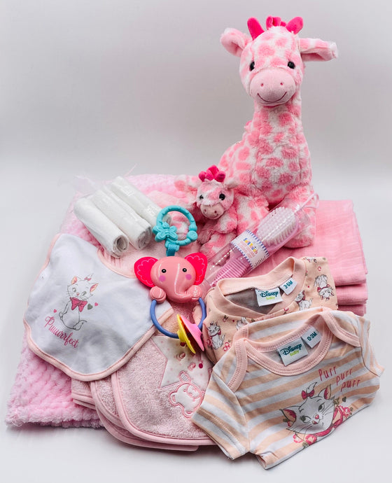 Soft and Snuggly Baby Hamper - Pink - Strelitzia's Floristry & Irish Craft Shop