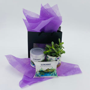 Soft and Soothing (Glengariff) - Gift Box - Strelitzia's Floristry & Irish Craft Shop