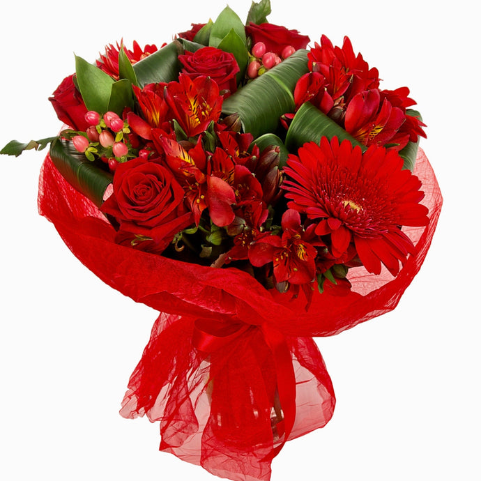 Gerbera Red Fresh Flower bouquet - Strelitzia's Floristry & Irish Craft Shop