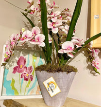 Load image into Gallery viewer, Extra Large Phalaenopsis Orchid Arrangement - Strelitzia&#39;s Floristry &amp; Irish Craft Shop