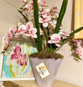 Extra Large Phalaenopsis Orchid Arrangement - Strelitzia's Floristry & Irish Craft Shop