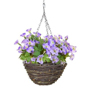 Petunia Hanging Baskets 35cm - Strelitzia's Floristry & Irish Craft Shop